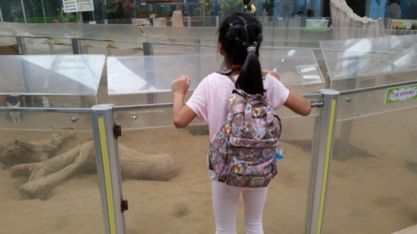 72cf3a16e51ec77316c891ed9f3bf544_1501209