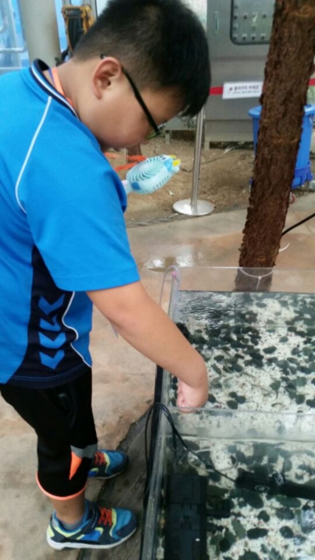 72cf3a16e51ec77316c891ed9f3bf544_1501209